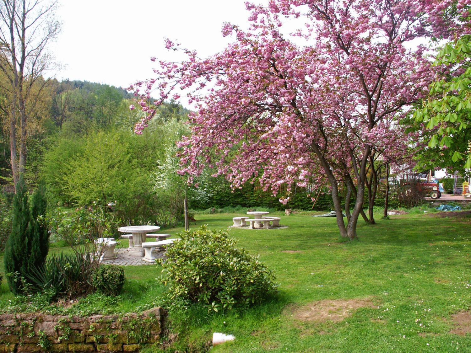 Hotel Zum Engel Mespelbrunn Εξωτερικό φωτογραφία
